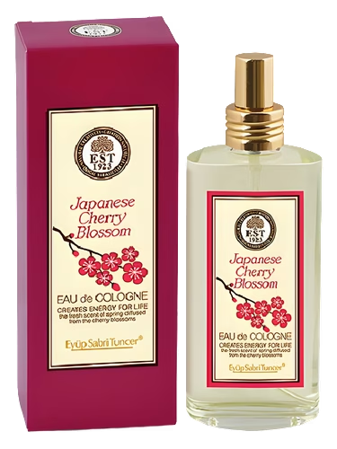 Japanese Cherry Blossom
