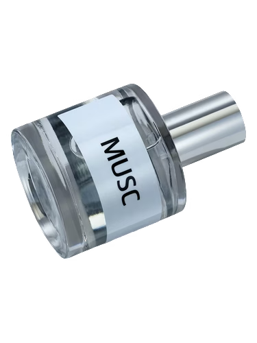 JD Musc Neutre