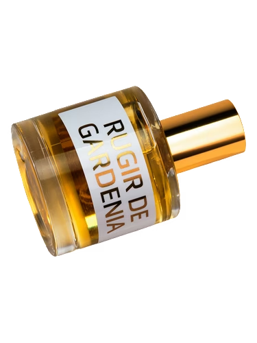 JD Rugir de Gardenia