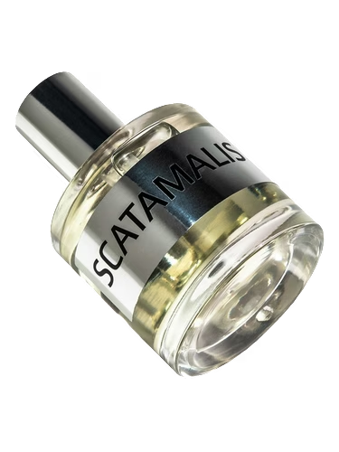 JD Scatamalis Base