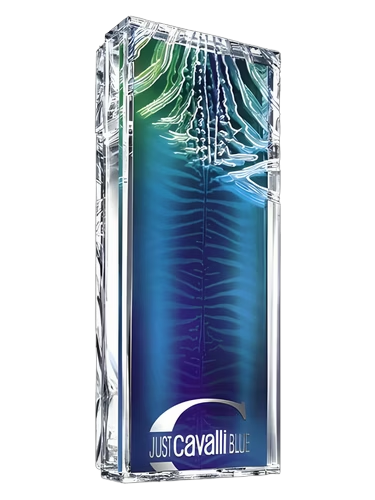 Just Cavalli Blue