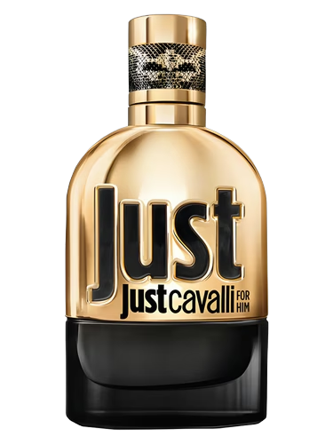 Just Cavalli Gold for Him