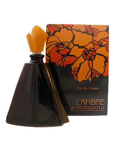 L'Ambre de Tan Giudicelli