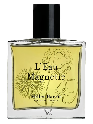 L'Eau Magnetic