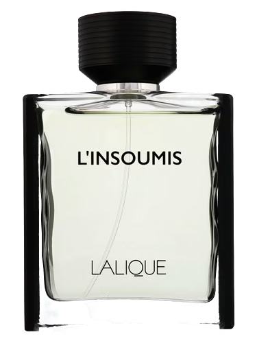 L'Insoumis