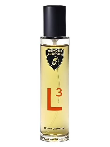 L3