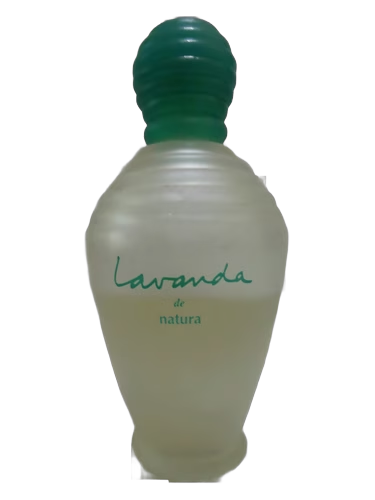 Lavanda