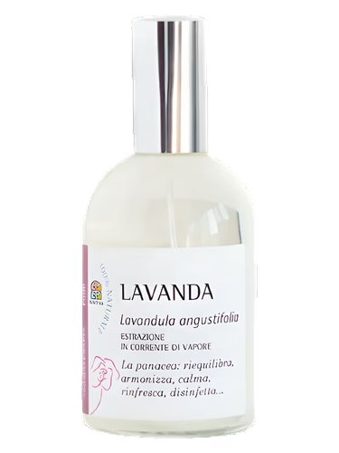 Lavanda