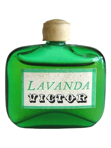 Lavanda