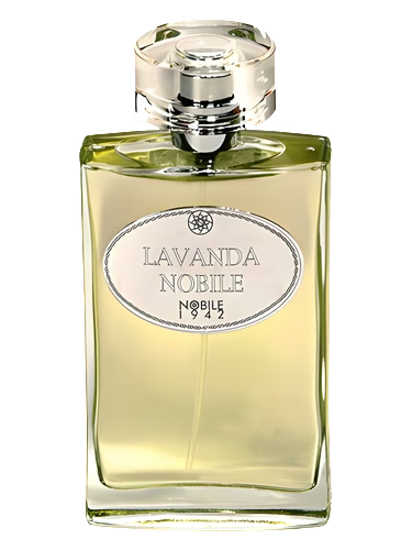 Lavanda Nobile