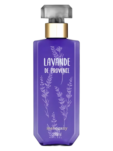 Lavande de Provence