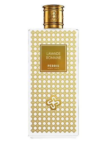 Lavande Romaine