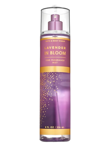 Lavender in Bloom