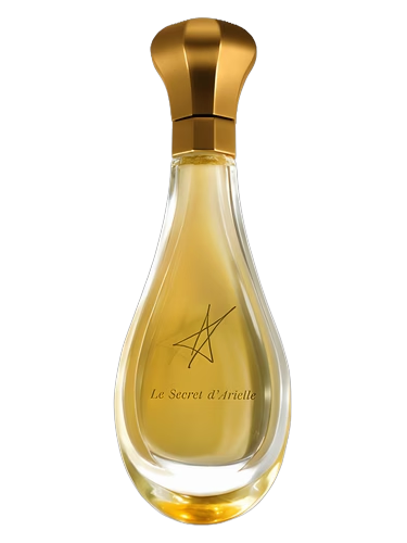Le Secret d'Arielle Extrait