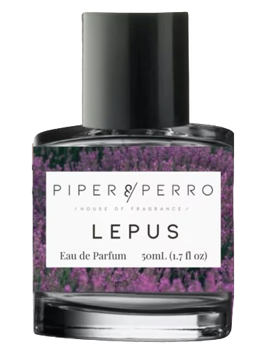Lepus