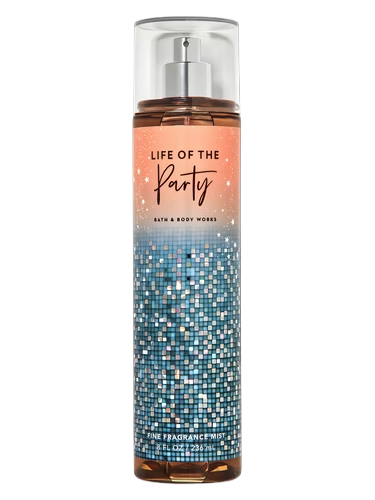 Life of the Party