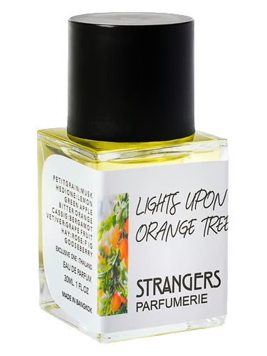 Lights Upon Orange Tree