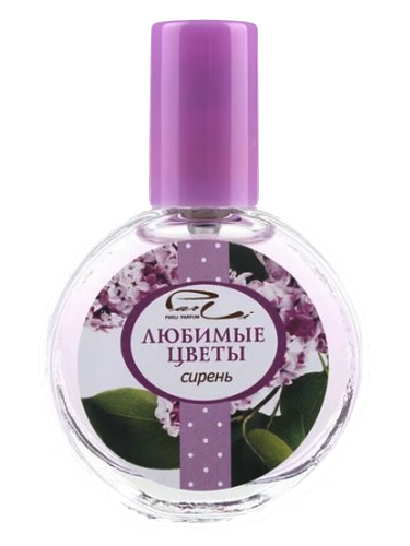 Сирень (Lilac)