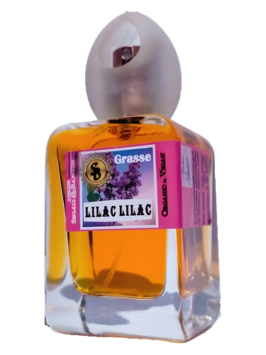 Lilac Lilac
