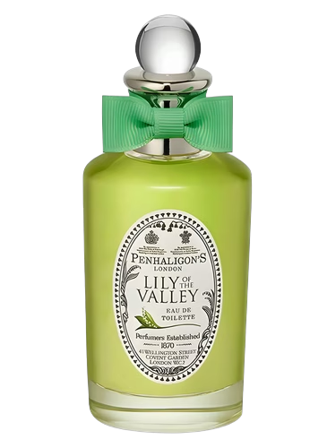 Lily of the Valley