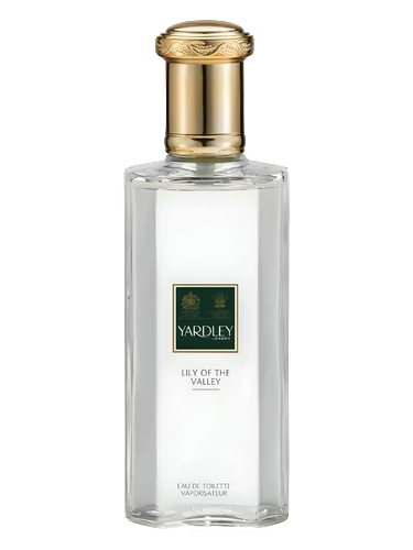 Lily of the Valley