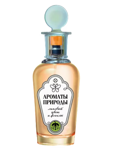 Липовый Цвет и Флоксы - Linden Blossom and Phlox