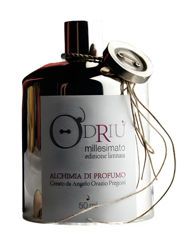 Linfedele 1004