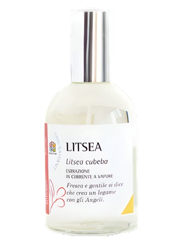 Litsea