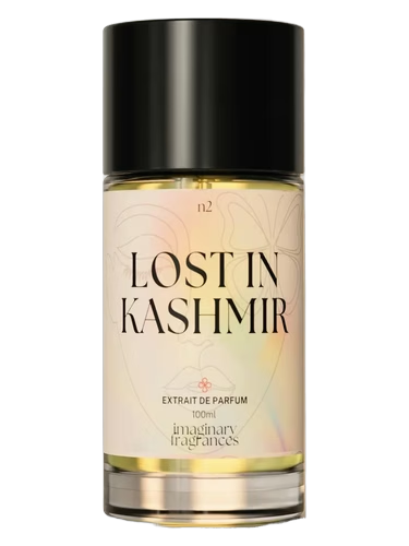 Lost In Kashmir
