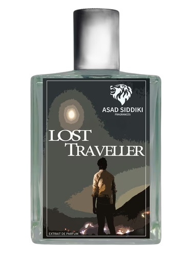 Lost Traveller