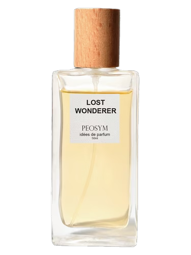 Lost Wonderer