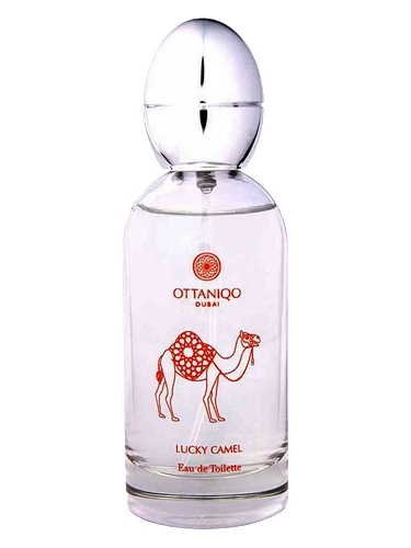 Lucky Camel