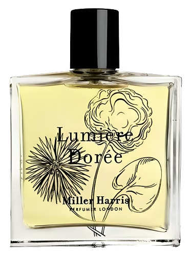 Lumière Dorée