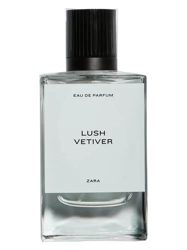Lush Vetiver