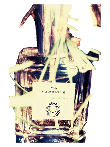 Ma Guarrigue