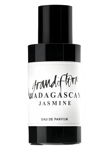 Madagascan Jasmine