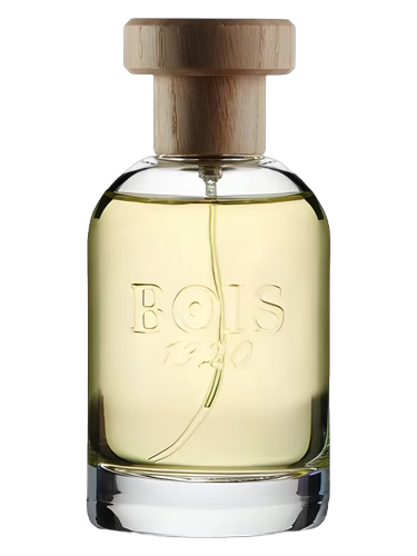 Magia by Bois 1920
