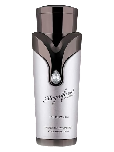 Magnificent Pour Homme