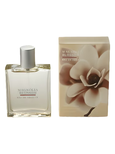 Magnolia Blossom
