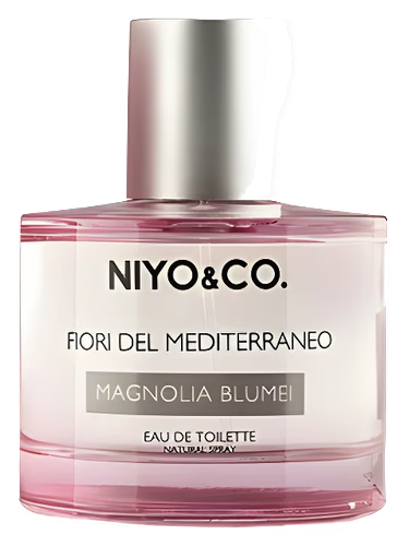 Magnolia Blumei