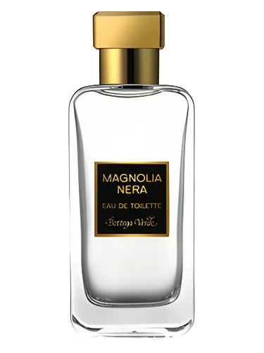 Magnolia Nera