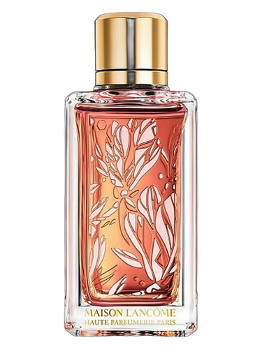 Magnolia Rosae