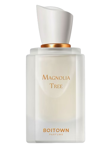 Magnolia Tree 一树玉兰