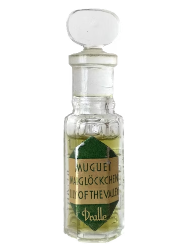 Maiglöckchen