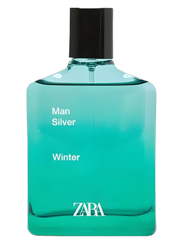 Man Silver Winter