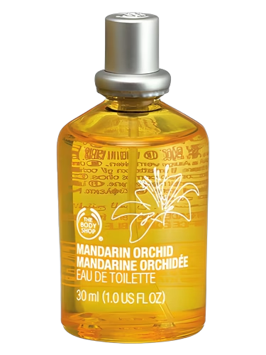 Mandarin Orchid