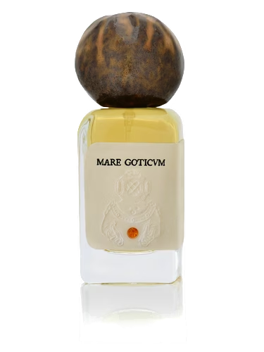 Mare Goticum