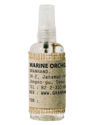 Marine Orchid