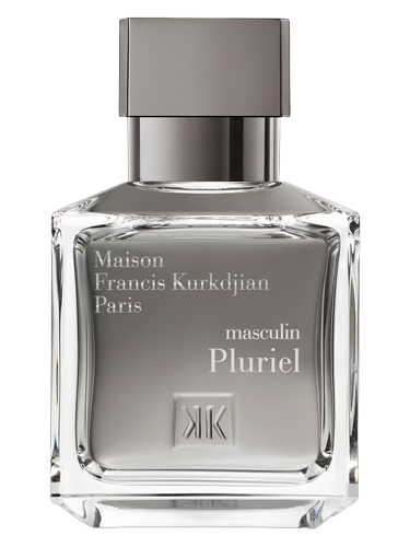 Masculin Pluriel