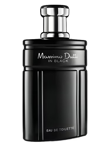 Massimo Dutti In Black